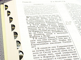 Библия в кожаном переплете на молнии, канонические книги, синодальный перевод, золотой обрез (арт.17396)