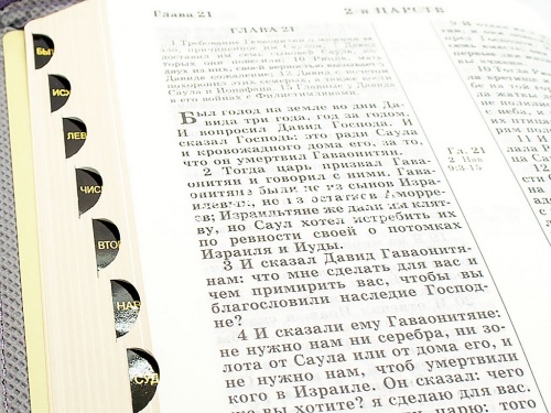 Библия в кожаном переплете на молнии, канонические книги, синодальный перевод, золотой обрез (арт.17396) фото 7