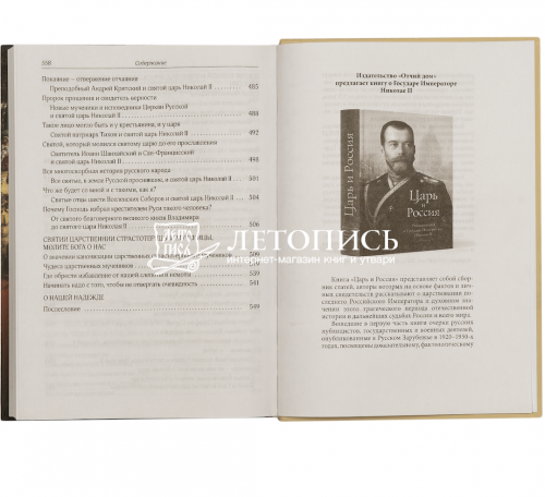 Без царя. Православная монархия и новым мировой порядок фото 5