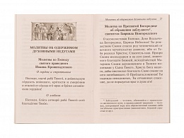 Материнский молитвослов. молитвы о детях, о болящем и раненом, о заключенном, во время военных действий. Молитвы святым