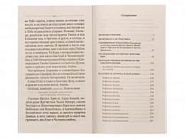 Молитвослов и Псалтирь крупным шрифтом (арт. 18900)