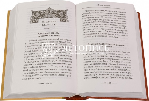 Апостол. Руководство к изучению Священного Писания Нового Завета фото 3