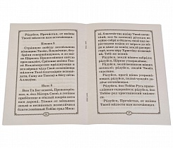 Акафист Пресвятой Богородице пред иконой Владимирская.