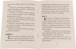 Акафист ПАНТЕЛЕИМОНУ святому великомученику и целителю (Арт. 00424)