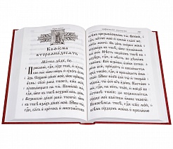 Псалтирь с молитвами о живых и усопших, с указанием чтений на всякую потребу. Крупный церковно-славянский шрифт (арт. 08098)