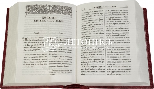 Новый Завет с параллельным переводом на церковнославянском и русском языках фото 2
