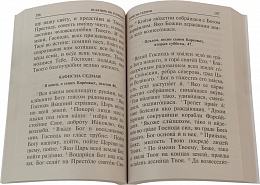 Псалтирь и каноны по усопшим (арт. 13619)