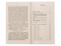 Молитвослов и Псалтирь крупным шрифтом (арт. 18900)