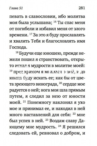 Книга премудрости Соломона. Книга премудрости Иисуса, сына Сирахова. (арт. 05324) фото 5