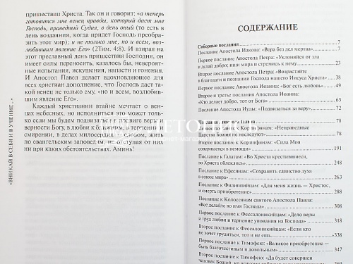 «Вникай в себя и в учение...» Беседы на Апостольские послания фото 7