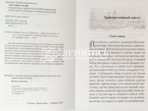 Запечатленный ангел. Очарованный странник фото 5
