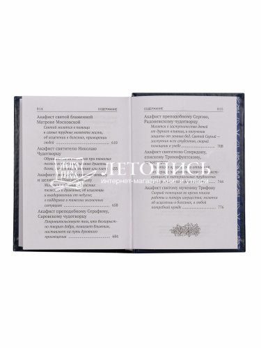 Акафисты, читаемые в болезнях, скорбях и особых нуждах фото 11