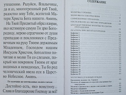 Молитвослов и Псалтирь ко Пресвятой Богородице крупным шрифтом (арт. 02393)