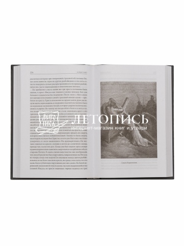 Толковая Библия Лопухина. Ветхий Завет. Новый Завет. В 2 книгах фото 5