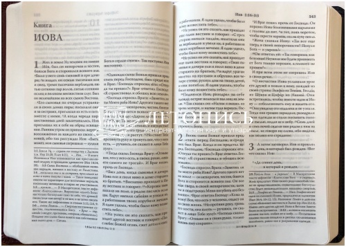 Библия в переплете из экокожи, современный русский перевод (арт.11126) фото 7