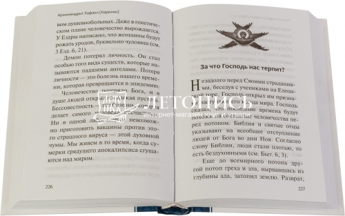 Ей, гряди, Господи Иисусе!  фото 2