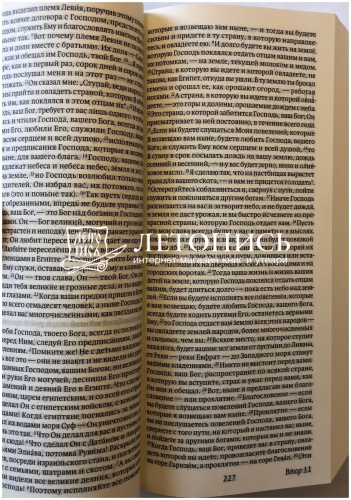 Библия, современный русский перевод, малый формат (арт.11128) фото 6