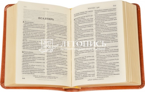Библия в синодальном переводе, малый формат, кожаный переплет, золотой обрез (арт.09708) фото 2