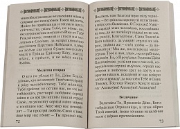 Акафисты, чтомые в болезнях, скорбях и искушениях 