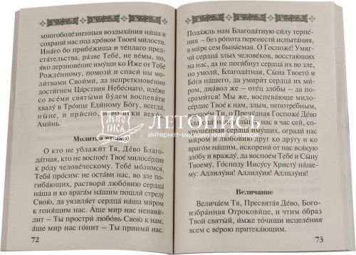 Акафисты, чтомые в болезнях, скорбях и искушениях  фото 3