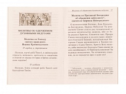 Материнский молитвослов. молитвы о детях, о болящем и раненом, о заключенном, во время военных действий. Молитвы святым