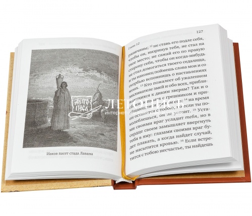 Книга премудрости Соломона. Книга премудрости Иисуса, сына Сирахова. (арт. 05324) фото 2