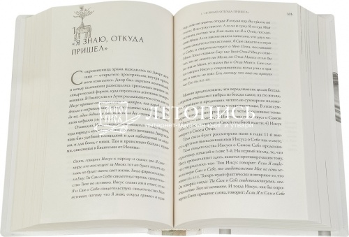 Иисус Христос. Жизнь и учение. Книга 5. Агнец Божий  фото 2