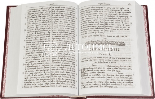 Ветхий Завет на церковнославянском языке (в 2-х томах) (арт. 09174) фото 5