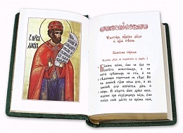 Псалтирь на церковнославянском языке в кожаном переплете (арт. 17068)
