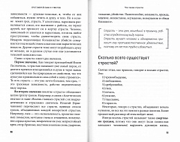 Грехи, страсти и борьба с ними в современном мире. Протоиерей Павел Гумеров (арт. 21200)