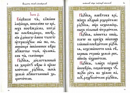 Акафист святому благоверному великому князю Александру Невскому (на церковнославянском языке)