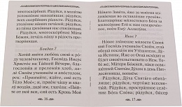 Акафист "Умягчение злых сердец" (Семистрельная)