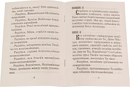 Акафист Пресвятой Богородице в честь иконы Ее "НЕУПИВАЕМАЯ ЧАША"