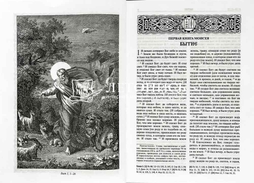 Библия с гравюрами XVIII и XIX веков (арт. 18526) фото 3