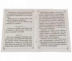Акафист покаянный жен, загубивших младенцев во утробе своей. 