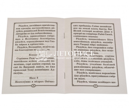 Акафист Пресвятой Богородице пред иконой "Всецарица". фото 2