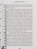 Я полюбил страдание, так удивительно очищающее душу. 