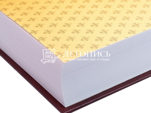 Новый Завет Господа нашего Иисуса Христа (арт. 02832) фото 5
