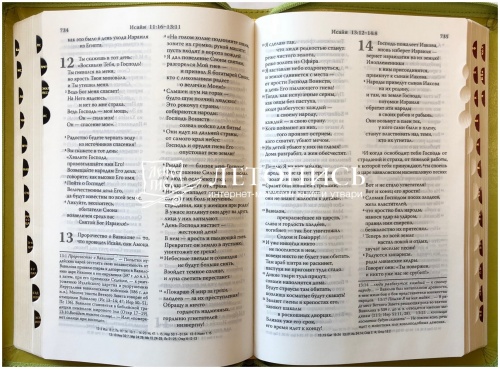 Библия в кожаном переплете на молнии, современный русский перевод (арт.11127) фото 9
