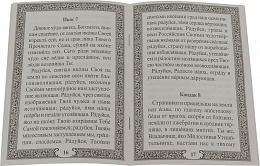 Акафист Пресвятой Богородице в честь иконы Ее "Отрада" или "Утешение"