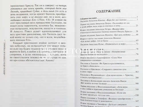 «Вникай в себя и в учение...» Беседы на Апостольские послания фото 7