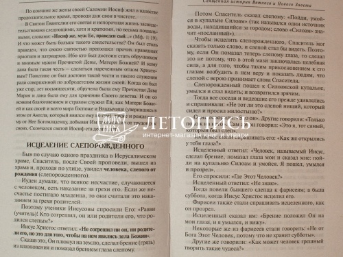 Закон Божий. Для семьи и школы (Арт. 18573) фото 6