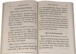 Православный молитвослов для домашнего употребления, крупным шрифтом (арт. 0363)