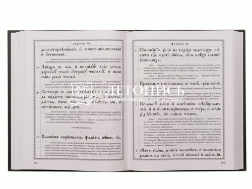 Псалтирь с толкованиями. На церковнославянском языке.  фото 4