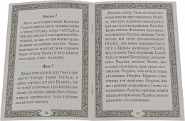 Акафист Пресвятой Богородице в честь иконы Ее "Утоли моя печали"