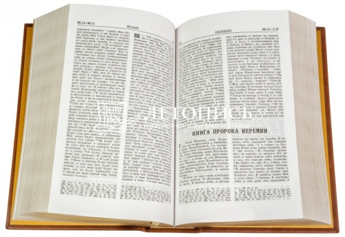 Библия в кожаном переплете, золотой обрез (арт. 08603) фото 2