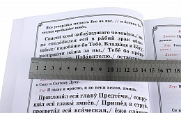 Богоявление. Великое освящение воды. Царские часы. Навечерие. Всенощное Бдение. Литургия. Последование богослужения для клироса и мирян
