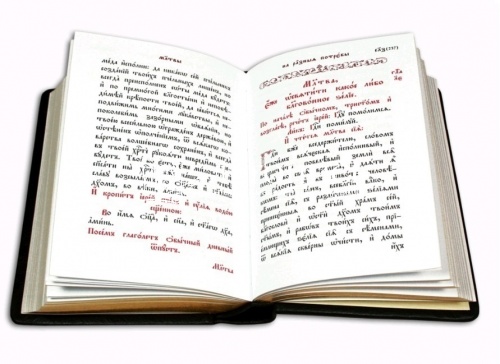 Требник на церковнославянском языке. Кожаный переплет, золотой обрез (Арт. 04544) фото 3