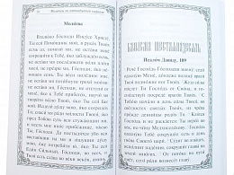Псалтирь (крупный шрифт) (Арт. 18932)