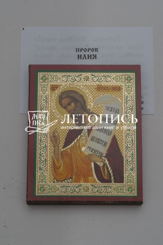 Икона "Святой пророк Илия" (на дереве с золотым тиснением, 80х60 мм) фото 2